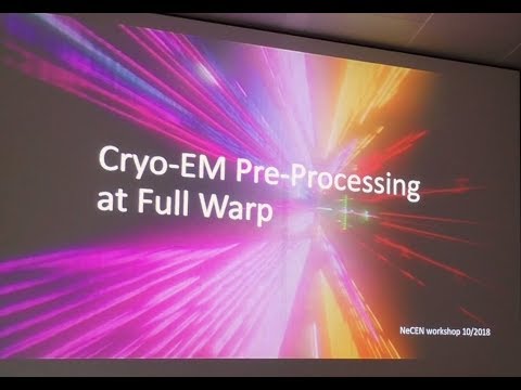 Cryo-EM data pre-processing at full Warp (Dmitry Tegunov)