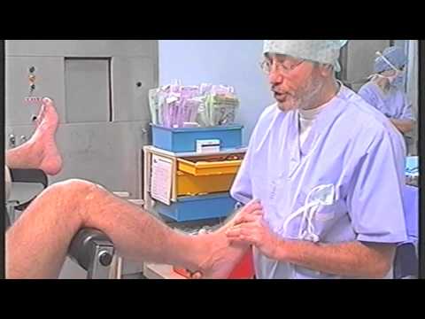 Il riscaldamento e analgesico pomata per i muscoli e le articolazioni Mal di schiena e dolore al leone dà una mano