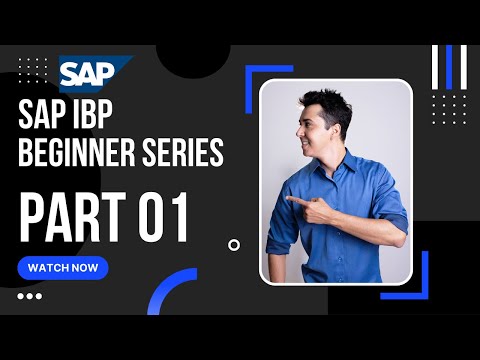 SAP IBP  for Beginners | Part -1 | Step By Step Learning | EPM Formatting IBP| Demand planning |#sap