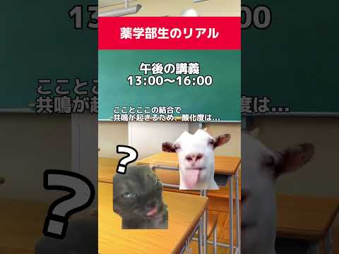 薬学科 薬学部生のリアルな1日！