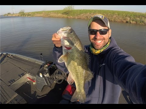 Urban Bass Fishing in the Spring