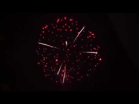 6inch  Red peony  with silver palm tree (445.6030)