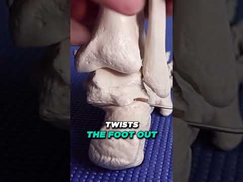 Can plantar fasciitis cause ankle pain? Overpronation & Subtalar Pain