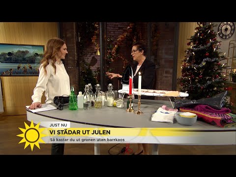 Städa ut julen – Så blir du av med granen och stöket efter julen - Nyhetsmorgon (TV4)