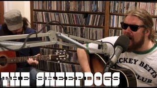 The Sheepdogs - Alright Ok - Live at Lightning 100