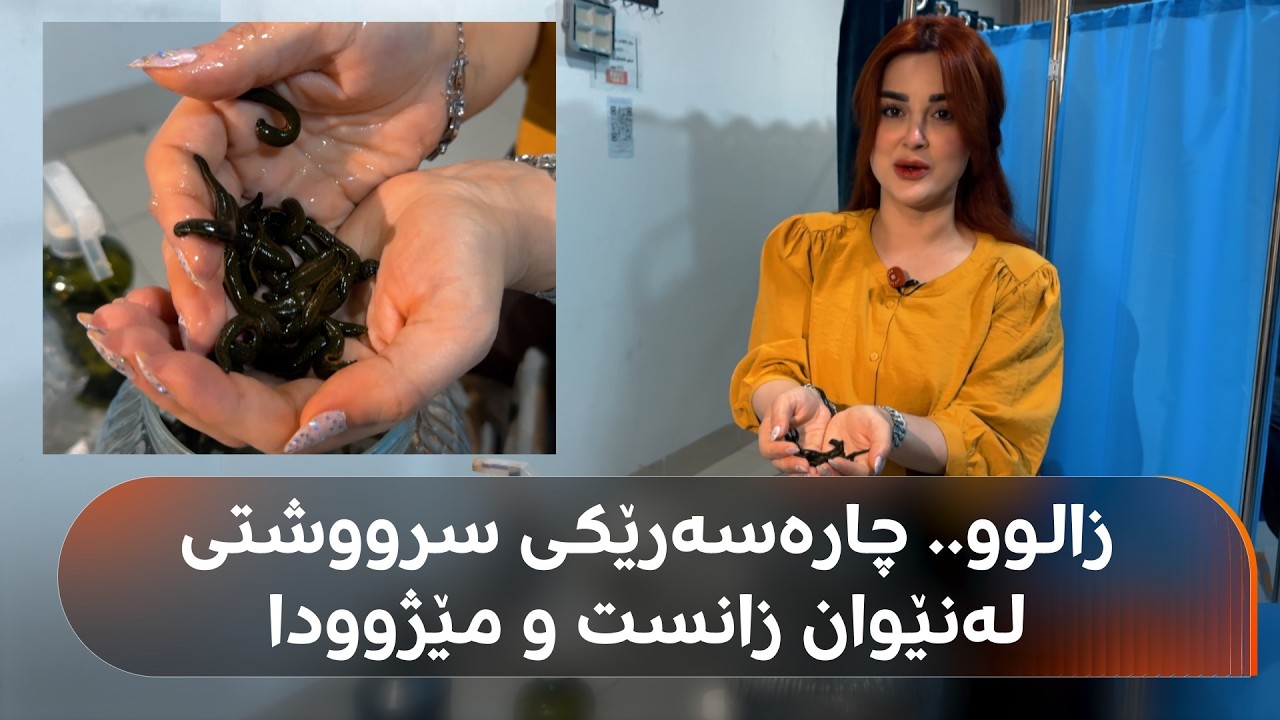 ڤیدیۆ | کرمی زالوو؛ خوێنی مرۆڤ دەمژێ و 100 مادەی سوودبەخش دەخاتە جەستەی مرۆڤ
