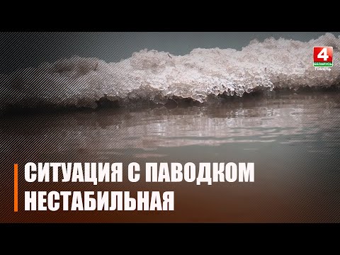 Сож снижается, Птичь поднимается. Узнали ситуацию с паводком в регионе видео
