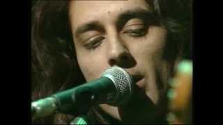 The Monochrome Set - The Jet Set Junta (Live)