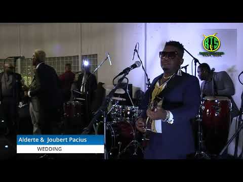 DISIP LIVE @ PRIVATE PARTY ( WEDDING) WPB FL