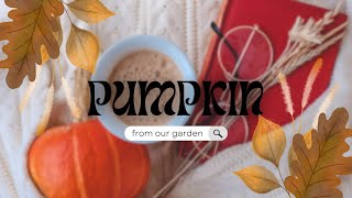 Let's cut our pumpkin!!
