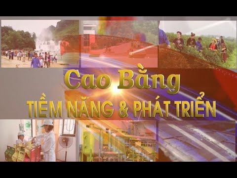 Triển vọng mô hình phát triển đàn dê thả đồi