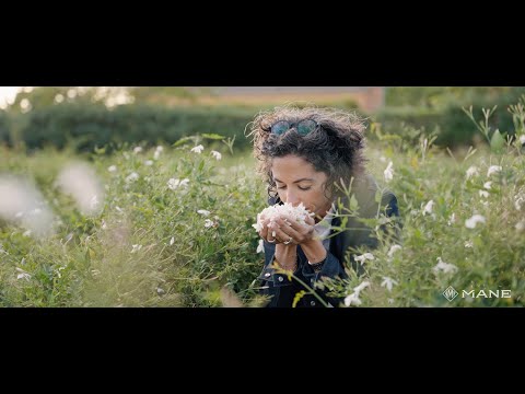 Film corporate MANE — sourcing jasmin, Pays de Grasse