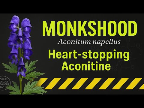 Monkshood: Myths, Murders, and a Fatal Beauty