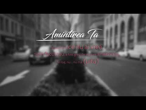 DMC x David GAERIS - "Amintirea Ta" (Lyrics Video)