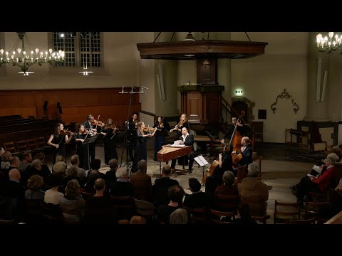 Haydn Violin Concerto G major HobVIIa:4: Allegro moderato / Lisa Jacobs & The String Soloists