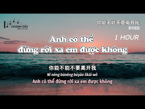 [1 HOUR] ANH CÓ THỂ ĐỪNG RỜI XA EM ĐƯỢC KHÔNG (你能不能不要离开我) - Mạc Khiếu tỷ tỷ (莫叫姐姐) - Hot Douyin