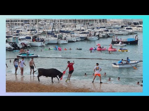 Bous a la mar Denia 2024. Ganaderia Bеnavent