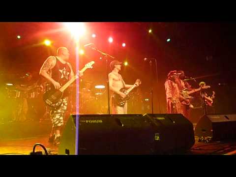 Manu Chao & Radio Bemba / Amadou & Mariam - Politic Amagni