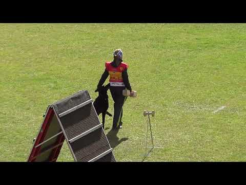 WUSV 2021 UKR 2 - OLENA PROTOPOPOVA & CAIA Z KRISTOVA B 88