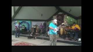 Perfunctory This Band - Jerry Fest 2014 - Grateful Dead Cover Band