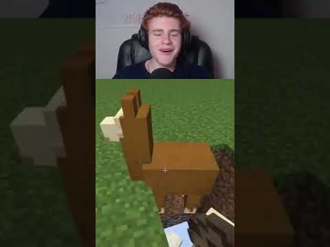 Guess The Minecraft Song 🎵