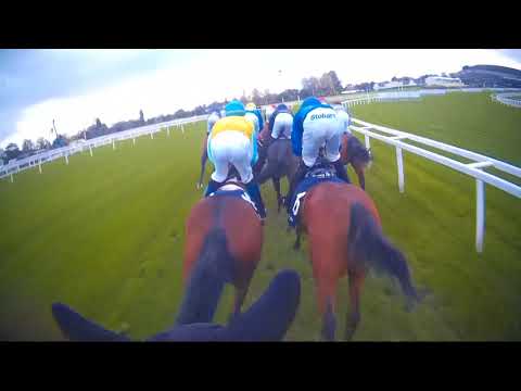 Jockey headcam of Cracksman's QIPCO Champion Stakes victory