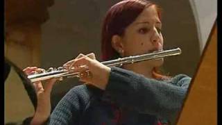 5) Unterstufe der Primarschule Hohberg, Zimetstärn, 2001