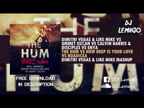 Dimitri Vegas & Like Mike The Hum vs Boadicea (tomorrowland 2016 )