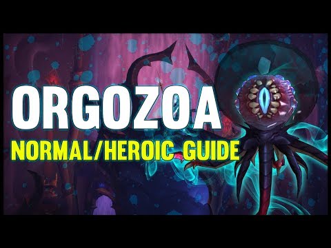 Orgozoa Normal + Heroic Guide - FATBOSS
