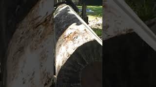 Download lagu log peavy rolling a log mp3