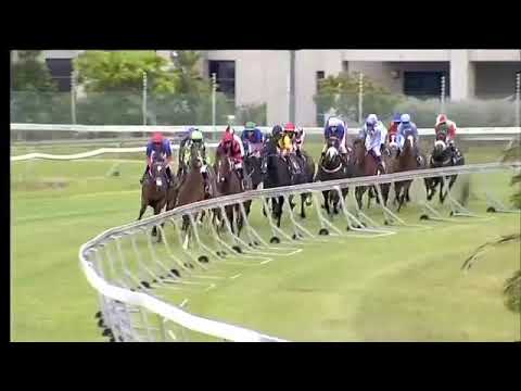 2019.12.21 Cape Guineas (RSA) - Kilindini