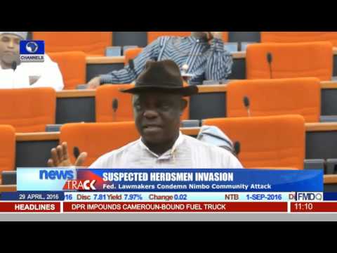 Herdsmen Invasion: Lawmakers Condemn Nimbo Community Attack