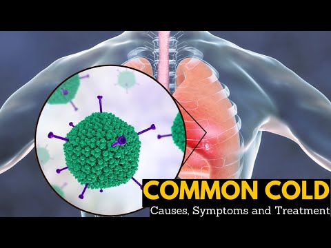 The Common Cold: Warning Signs, Symptoms and Treatment