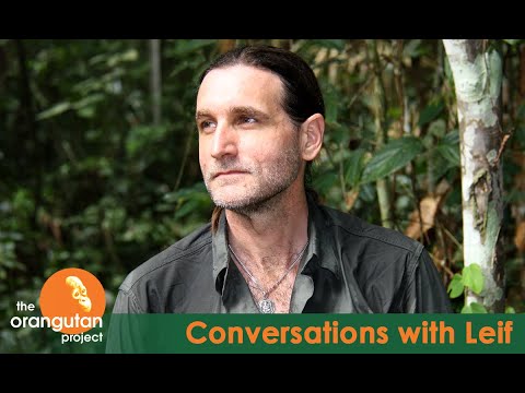 The Orangutan, Tiger and Elephant Projects