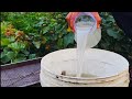 Secret Weapon For Exploding Vegetable Growth Just A Few Hours