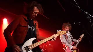 Scientists  - Set It On Fire