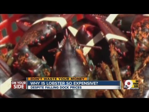 Why is lobster so expensive?