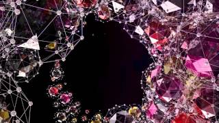 KimDotcom Party Amplifier