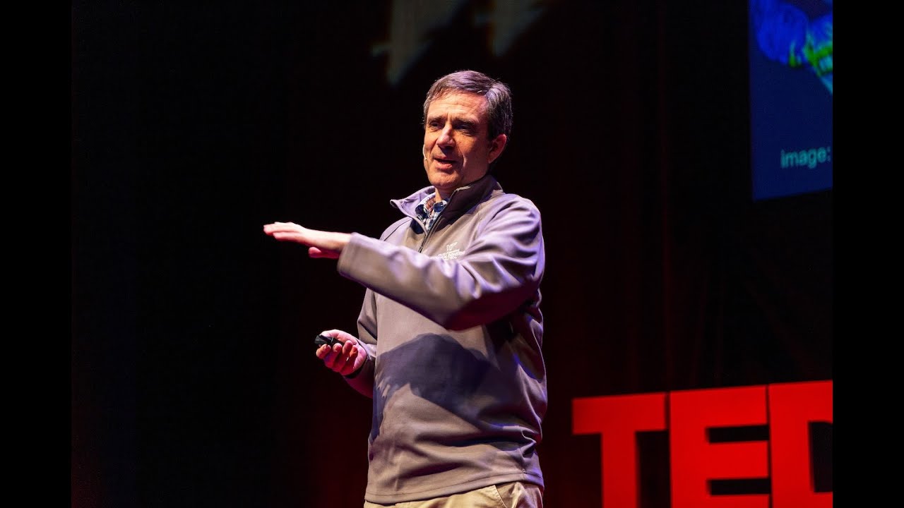 What can bats teach us about building smarter robots? | Rolf Mueller | TEDxMidAtlantic