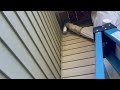 Yellow Jackets Stop the Owners From Sitting on Their Deck in Keyport, NJ