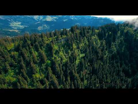 timefree time foryou