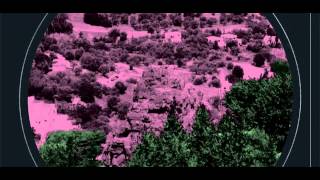 Soft Walls - Won't Remember my Name