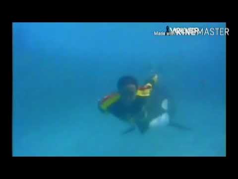 Carica - Abrázame (Embrace Me).Sub. English