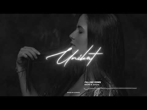 BGDNV & Zentone - Falling Down
