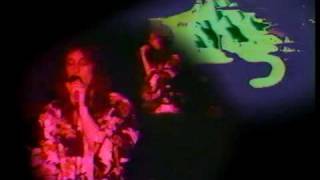 TODD RUNDGREN NEVER NEVER LAND BOTTOM LINE 5-14-78