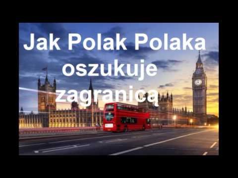 Polski pośrednik