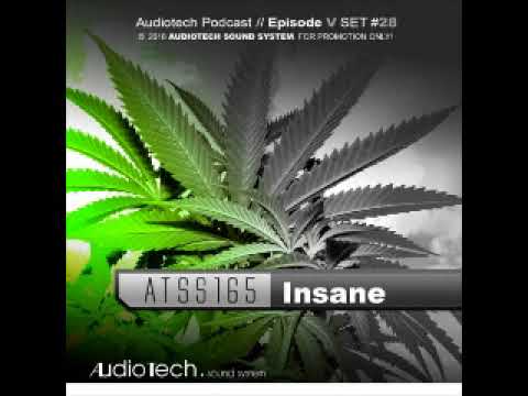 Audiotech ATSS165 - Insane ► Hanfparade