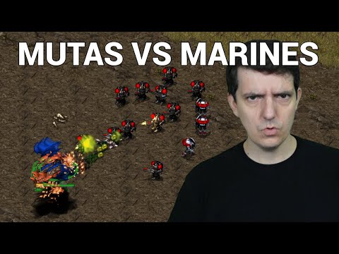 StarCraft 1: HOW MANY MUTAS? - Scan vs beast | CNSL 5