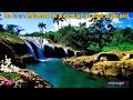 Good Morning Video Pleasant Nature