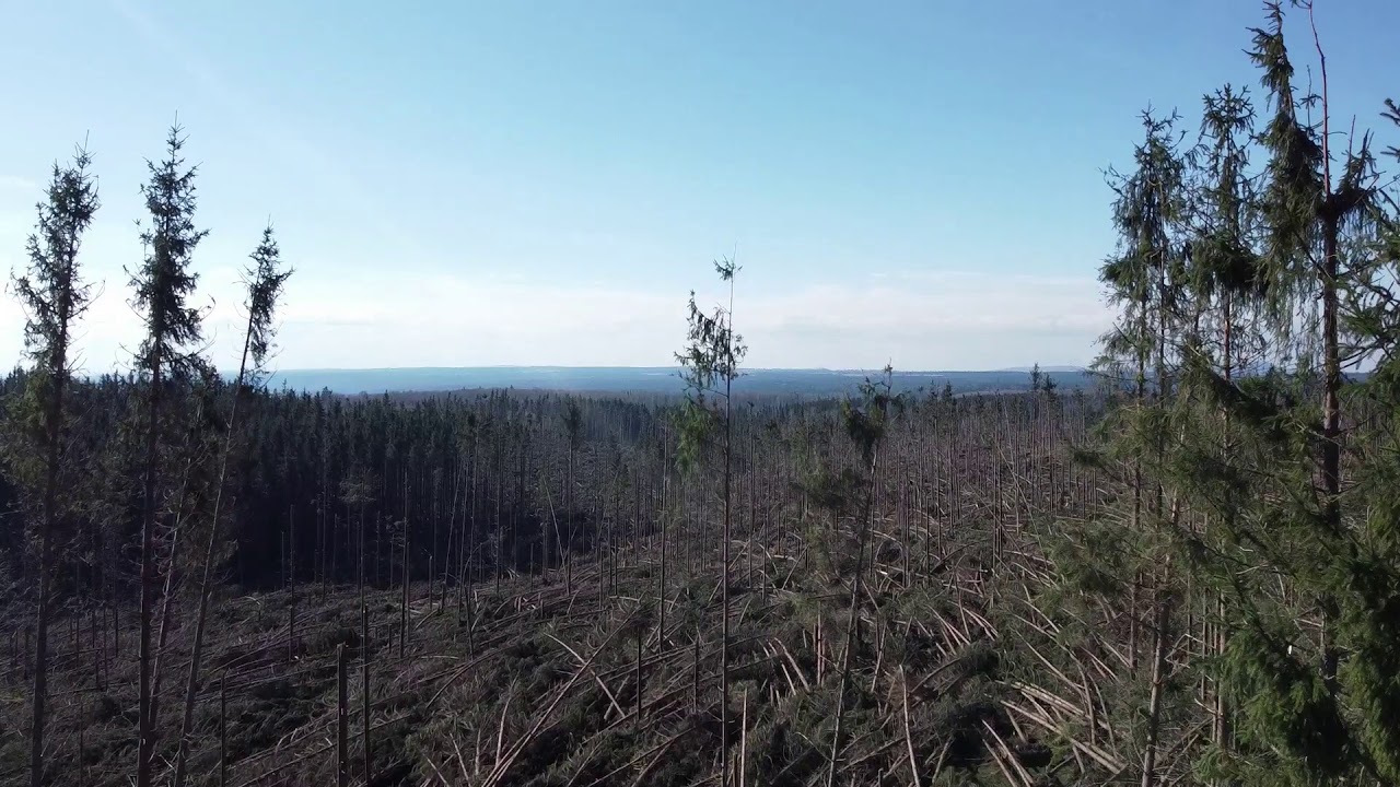 Viharkárok a Felsősófalvi határon